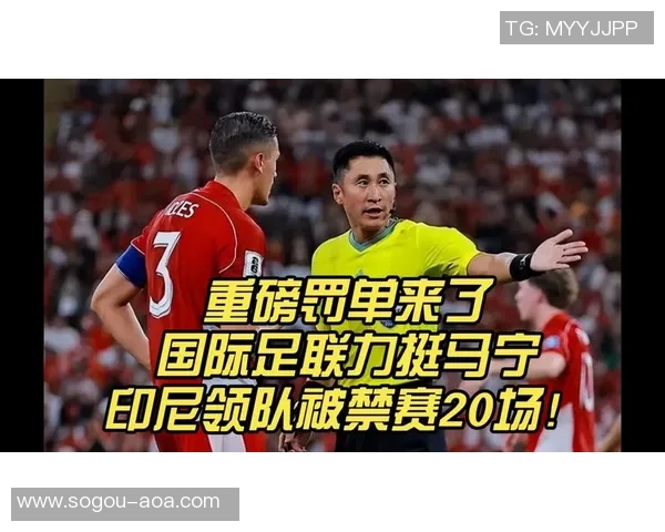 赛后怒推裁判马宁印尼领队无奈表示申诉已无意义一切已结束